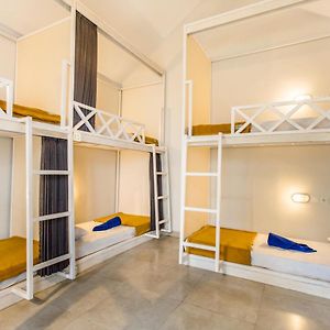Bed 6-Bed Mixed Dormitory Room